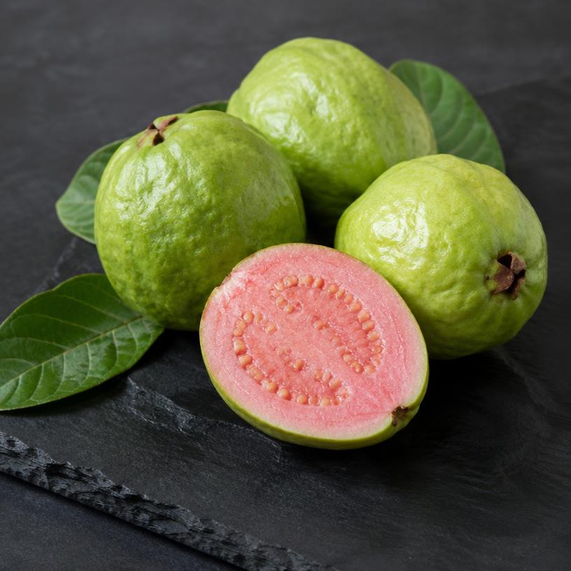 Guava